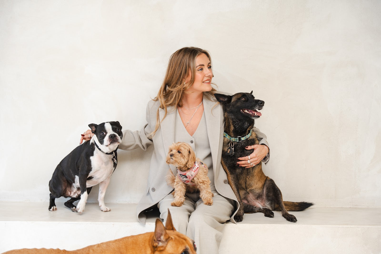 Smiling woman in a beige suit sits against a pale wall surrounded by four dogs of different breeds and sizes.