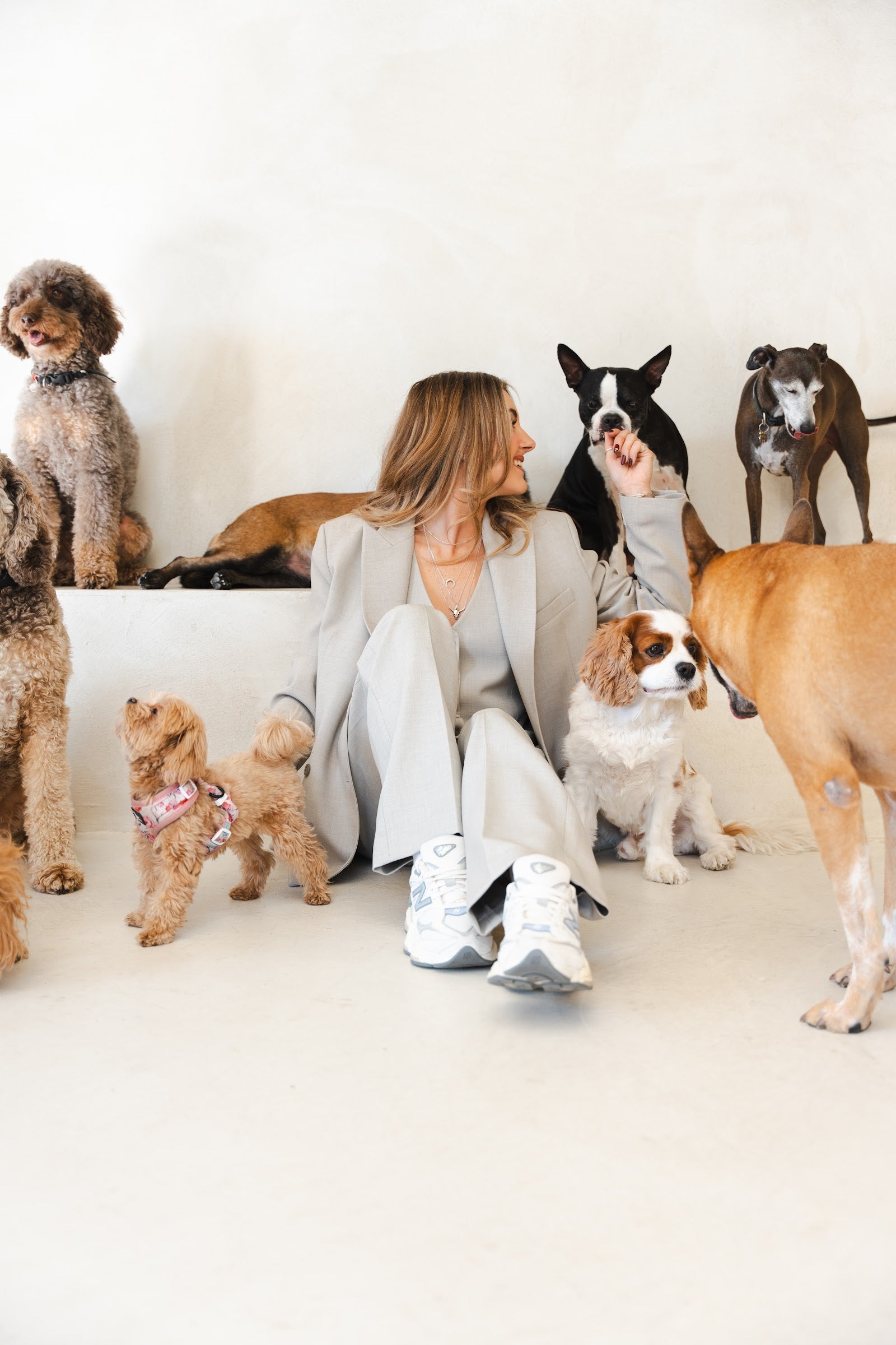 Woman in a beige suit sits on the floor reaching toward a Boston terrier, ringed by several dogs of mixed breeds.