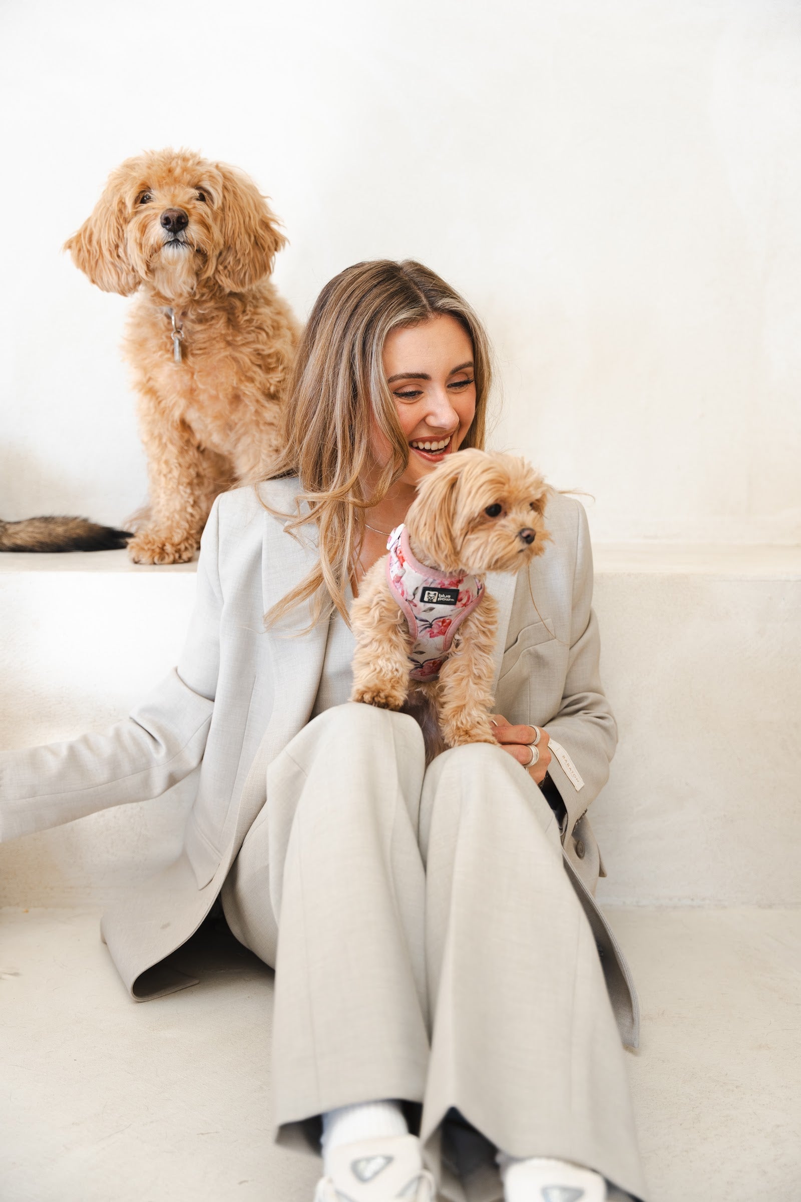 Woman in a beige suit smiles down at a small apricot dog in a floral harness on her lap, a larger curly dog behind her.