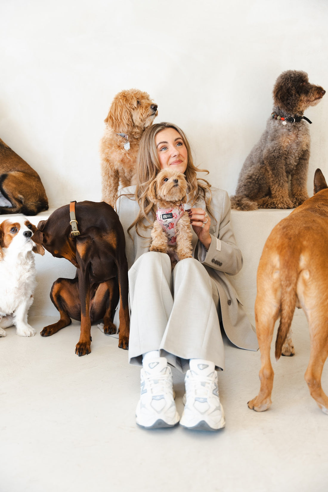 Woman in a beige suit holds a small apricot dog while six dogs of different breeds gather around her on the floor.
