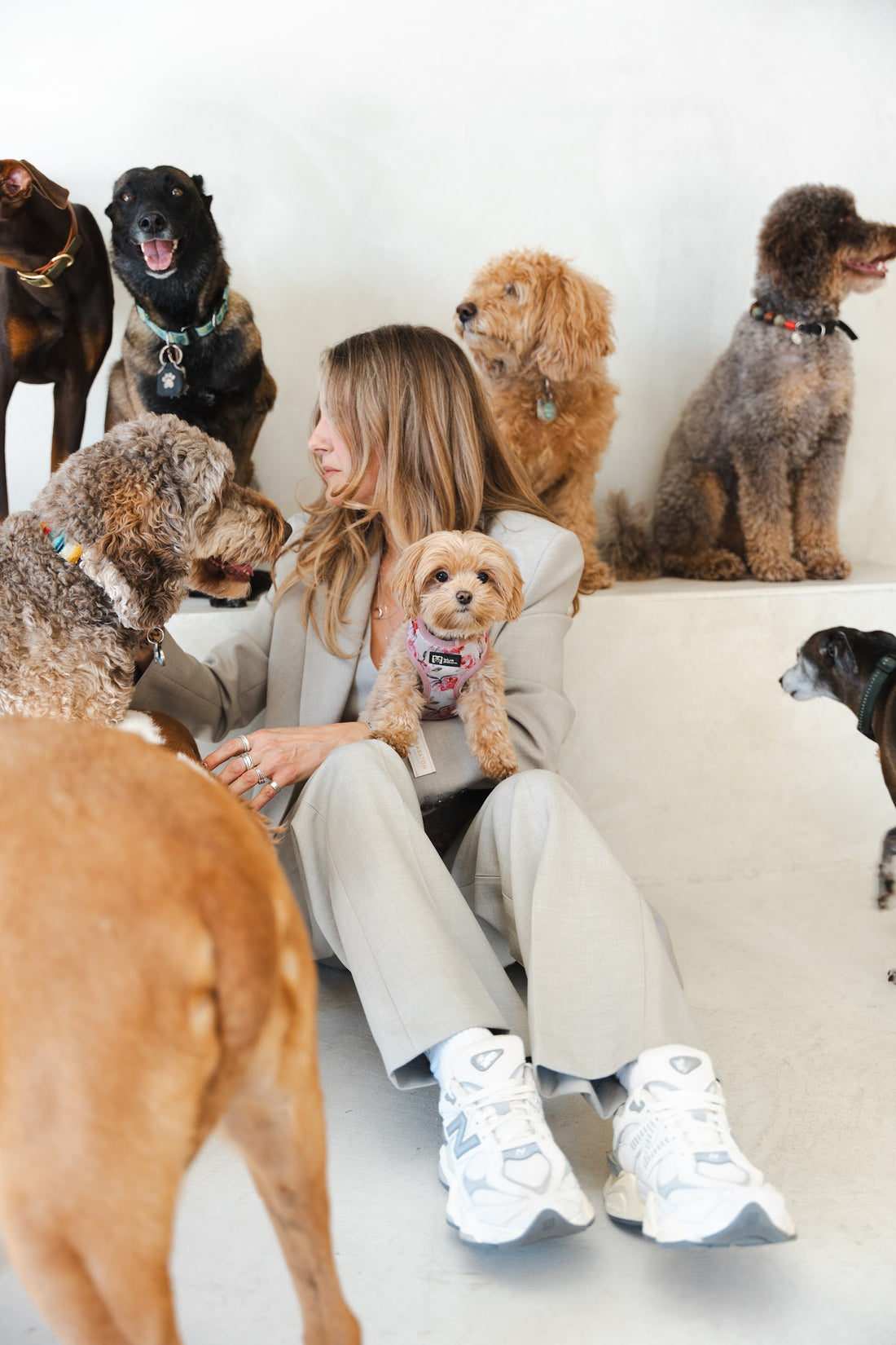 Woman in a beige suit sits on a white studio floor surrounded by seven dogs of all sizes.