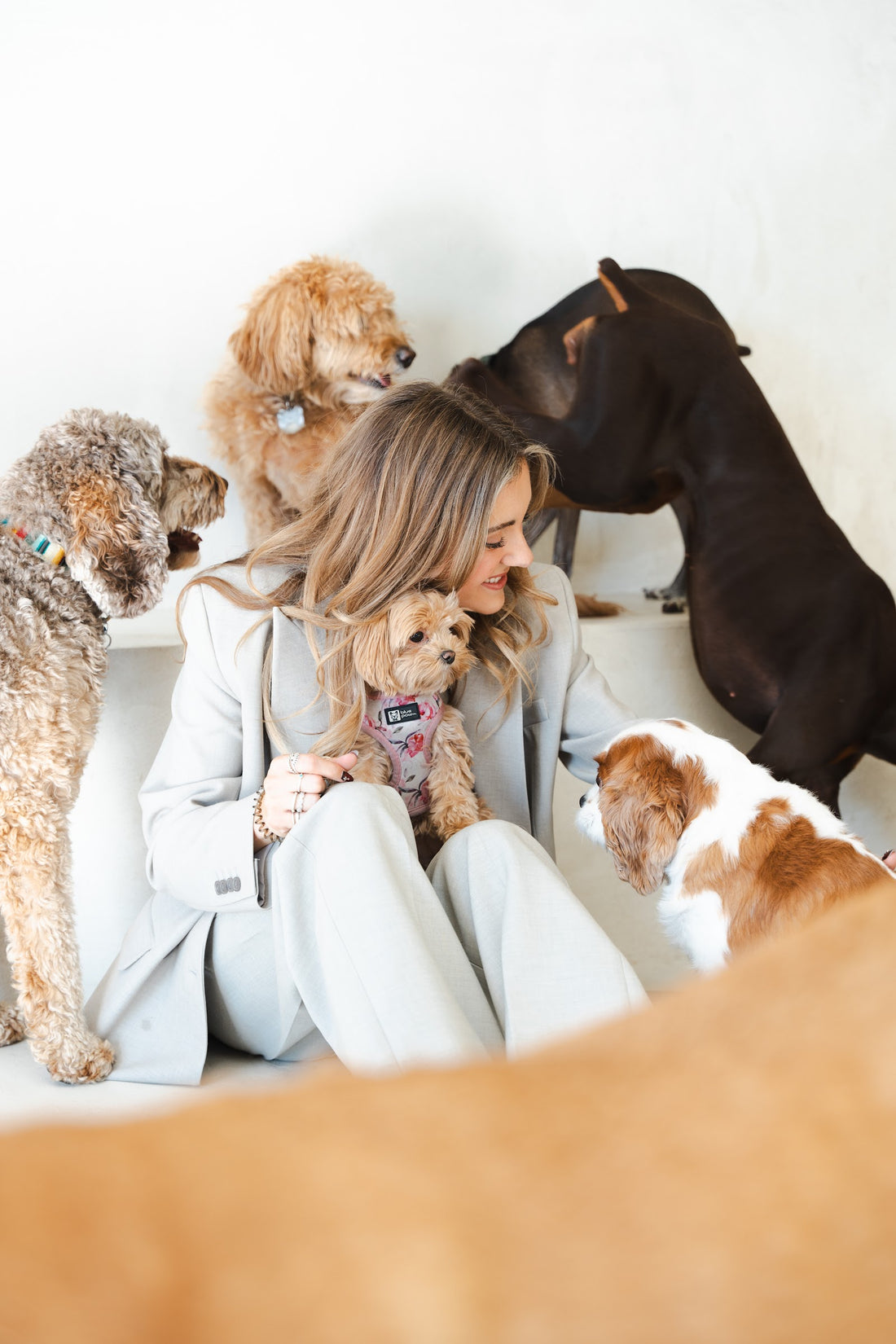 Smiling woman holds a tiny apricot puppy to her chest while a poodle, Doberman and spaniel surround her.