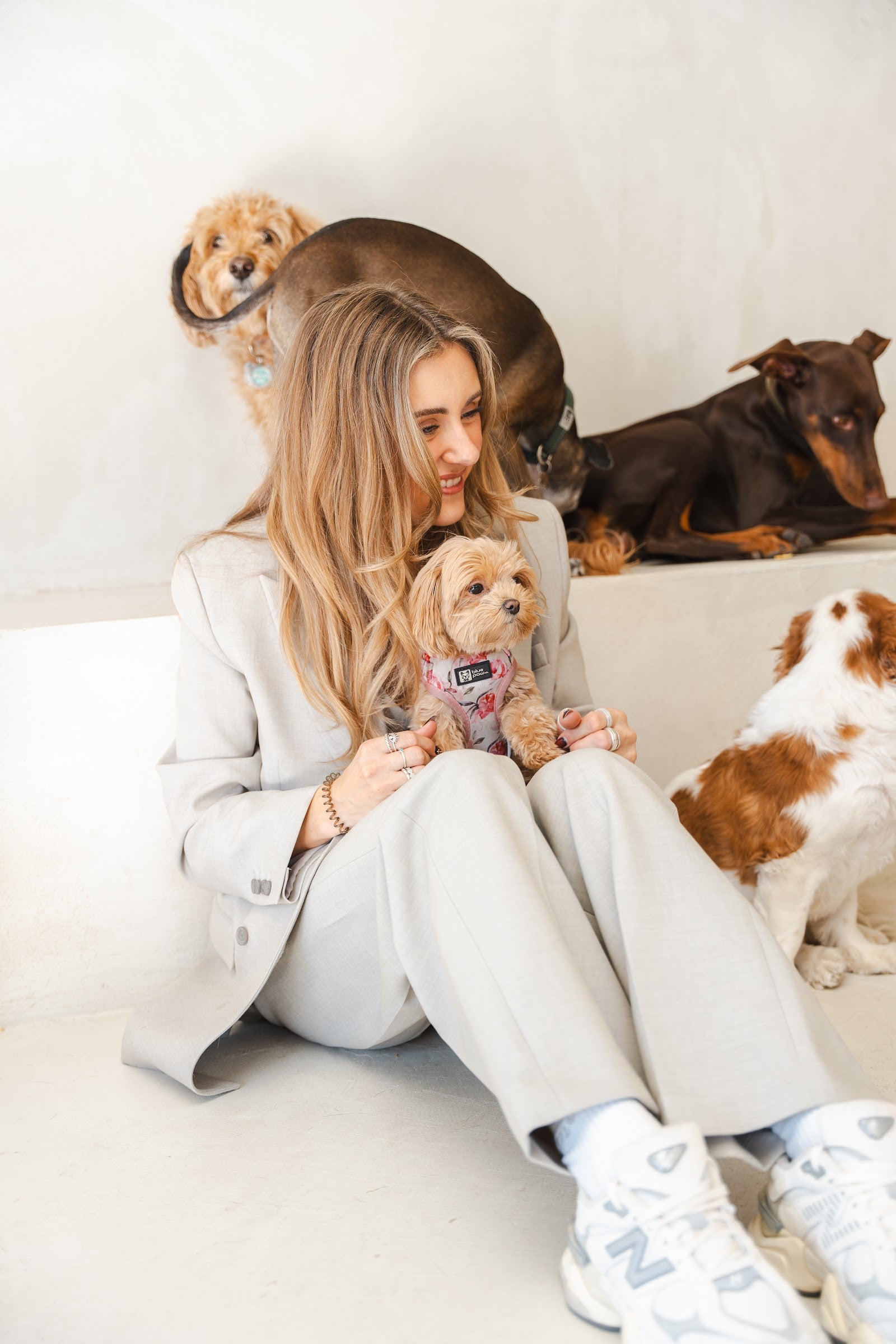Woman in a beige suit sits cradling a small apricot puppy with three dogs resting on a ledge behind her.
