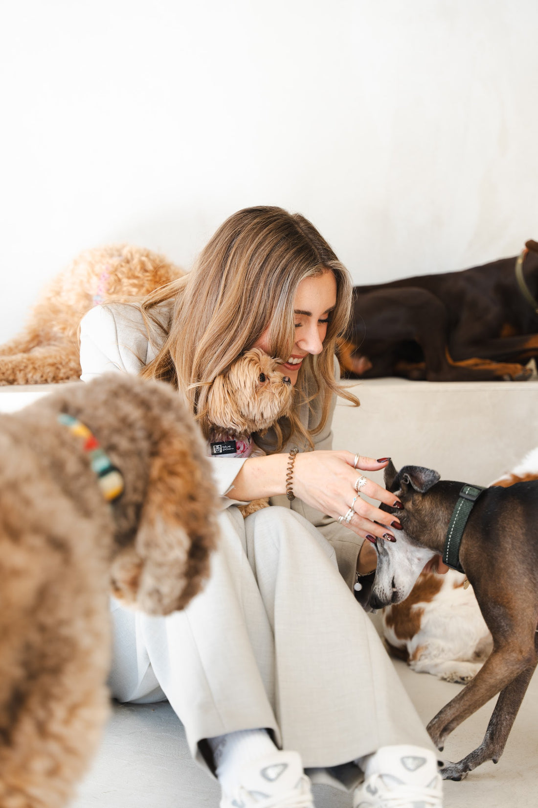 Woman leans down smiling with a small terrier on her shoulder while gently touching another dog's muzzle.