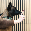 Nail Trim with Hand File.