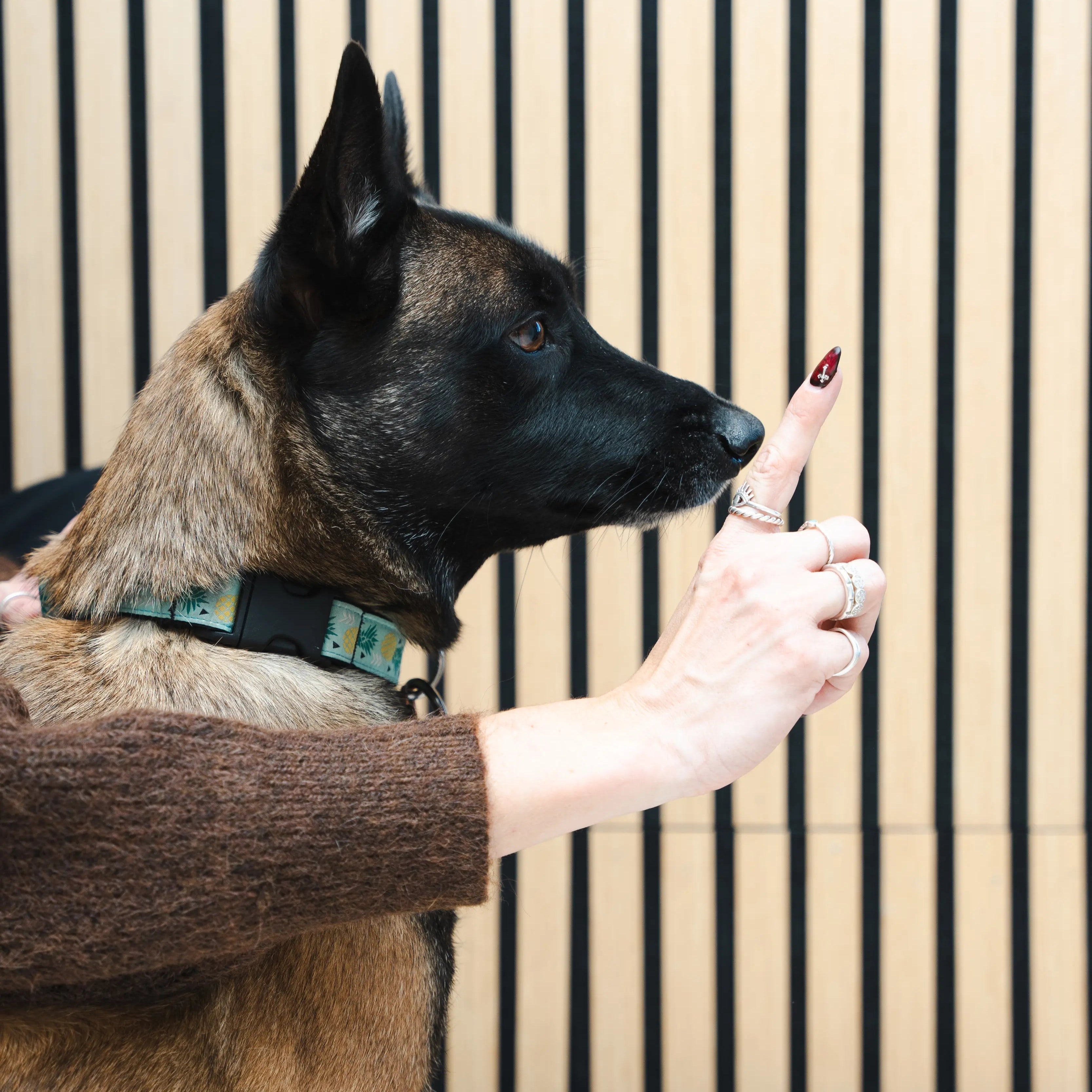 Nail Trim with Hand File.